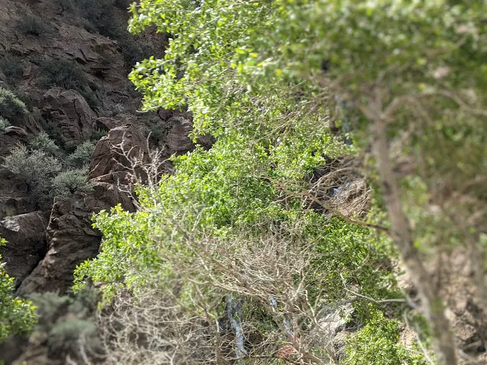 South Fork Campground Picture 5