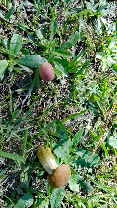 Cedar Creek Mobile Home Park Picture 4