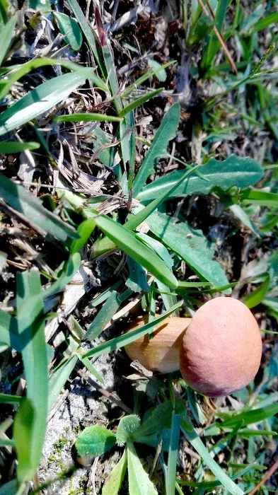 Cedar Creek Mobile Home Park Picture 10