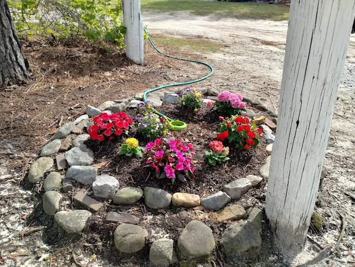 Columbia/Camden RV Park Picture 1