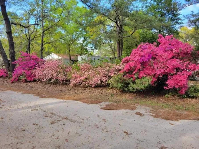 Columbia/Camden RV Park Picture 8