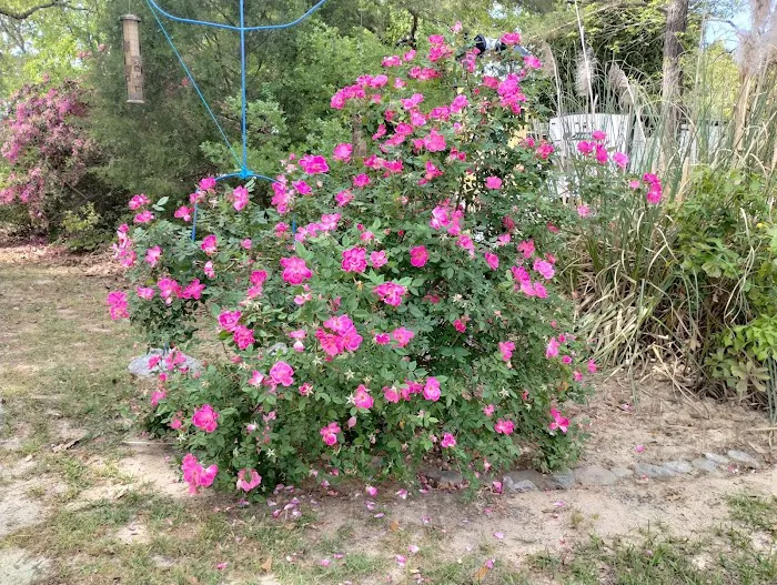 Columbia/Camden RV Park Picture 4