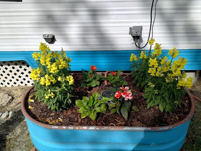 Columbia/Camden RV Park Picture 5