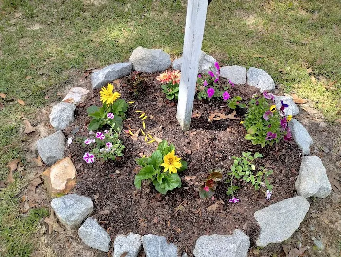 Columbia/Camden RV Park Picture 9