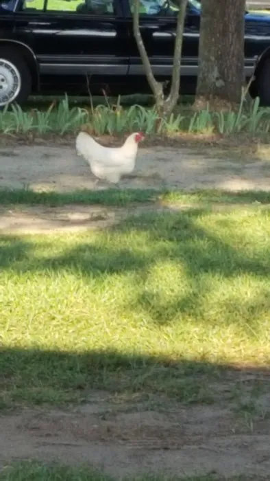 Sparky's Mobile Home & RV Park Picture 6