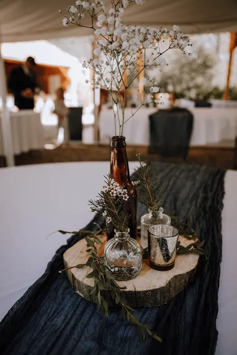 Castaway Cabins & Events Picture 4