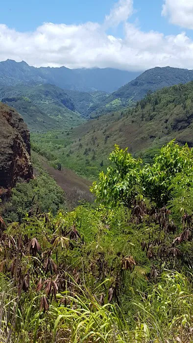 Tanglewood Estates Picture 3