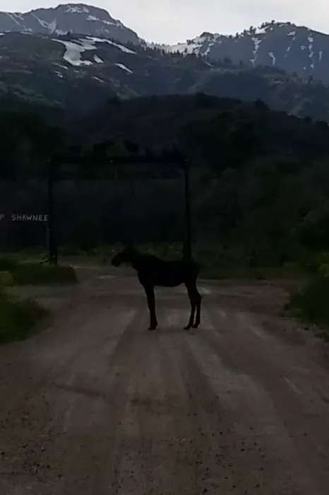 Camp Ben Lomond Picture 2