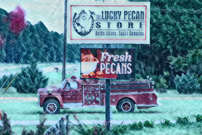 Whispering Oaks RV Park Picture 8