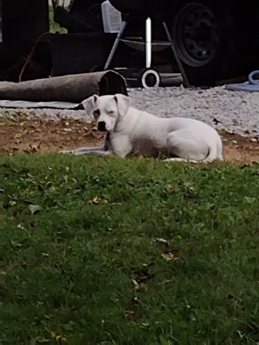 Betty Rv Park Picture 7