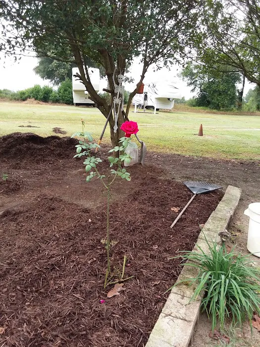 Betty Rv Park Picture 10