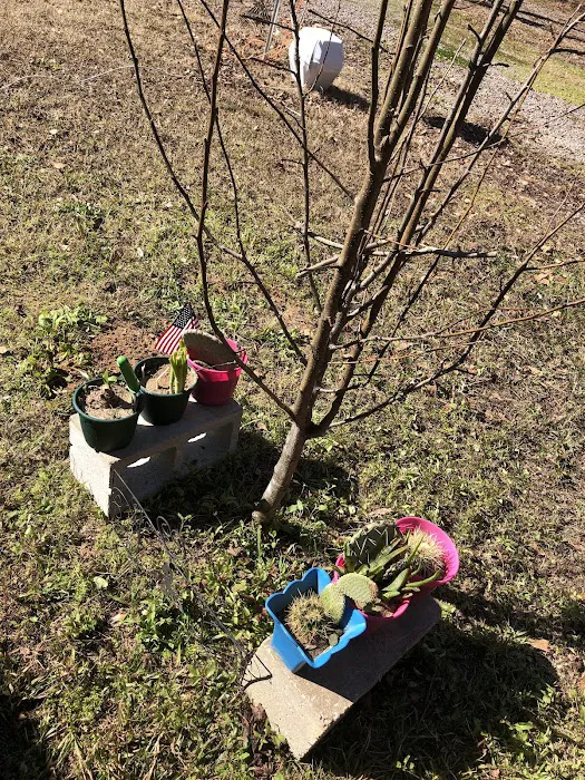 Hagee's RV Park Picture 5