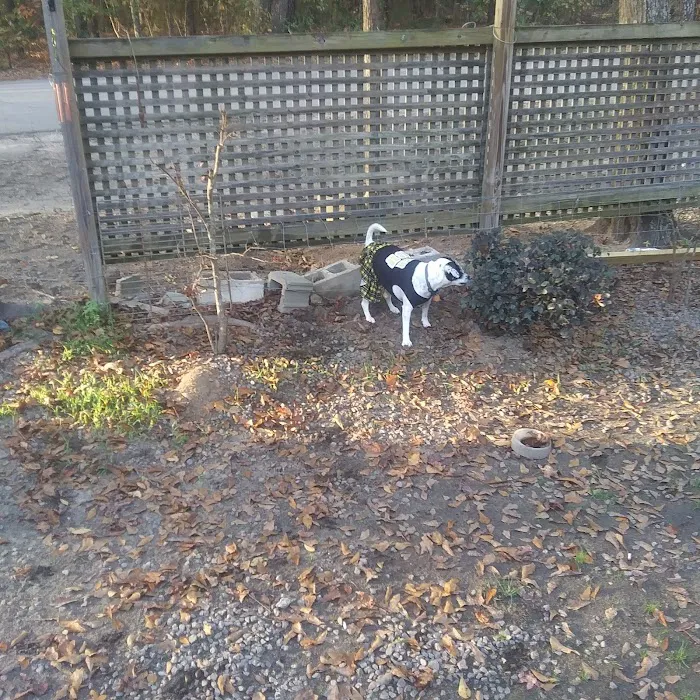 Hagee's RV Park Picture 3