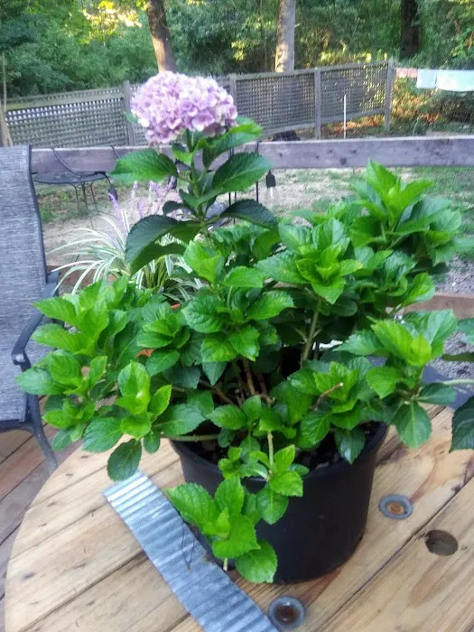 Hagee's RV Park Picture 6