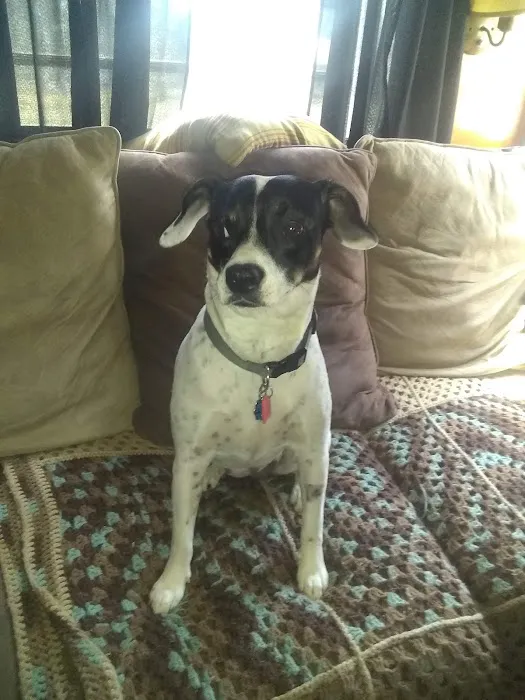 Hagee's RV Park Picture 10