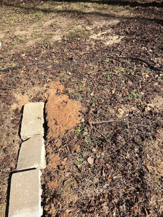 Hagee's RV Park Picture 8