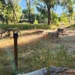 Prevedel Park Campsite #6