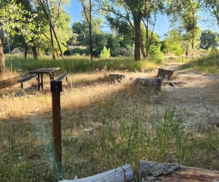 Prevedel Park Campsite #6