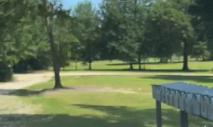 Lockwood RV Park and Cabins Picture 4