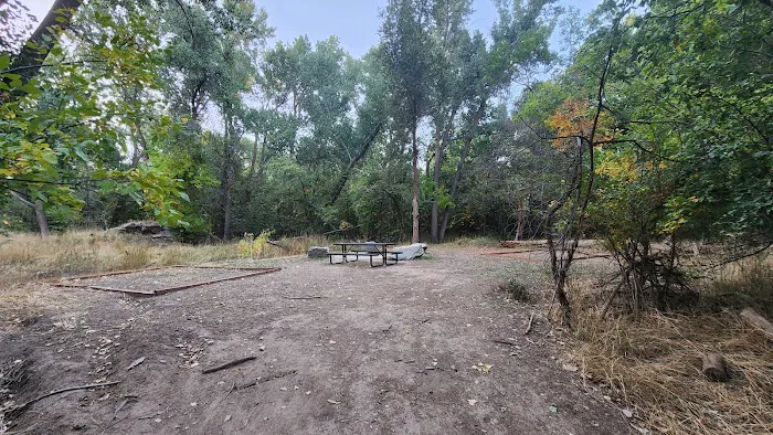 Prevedel Park Campsite #7 Picture 2