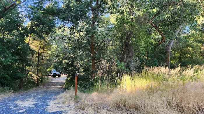 Prevedel Park Campsite #7 Picture 3