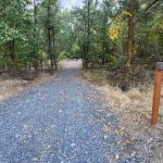 Prevedel Park Campsite #7