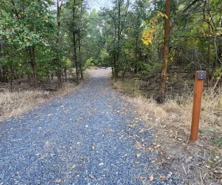 Prevedel Park Campsite #7