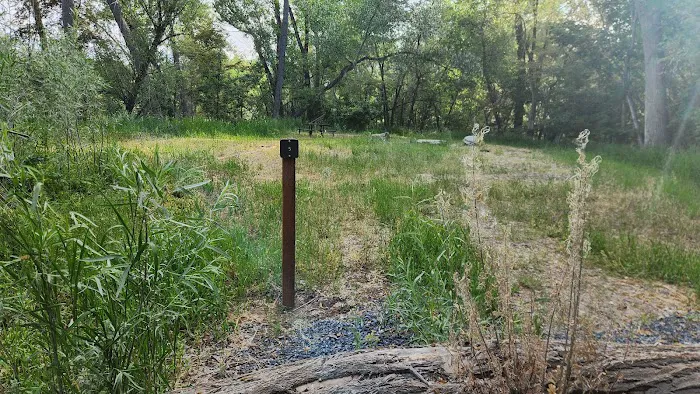 Prevedel Park Campsite #5 Picture 1