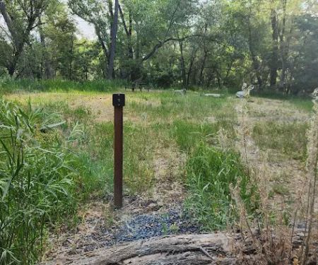 Prevedel Park Campsite #5