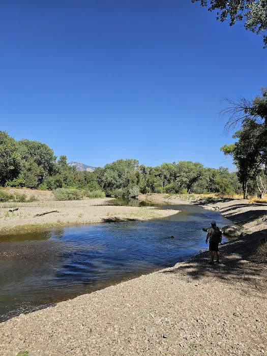 Prevedel Park Campsite #3 Picture 1