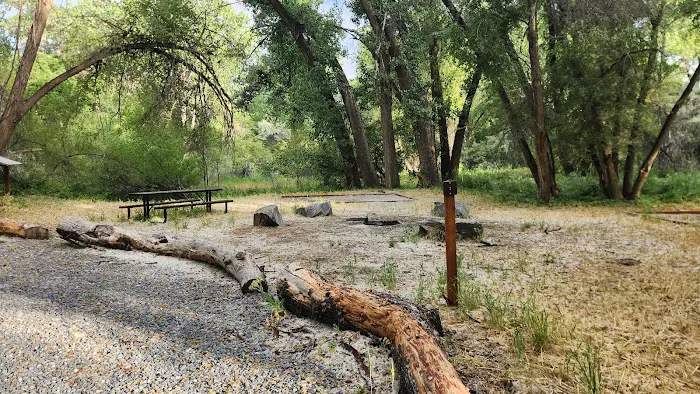 Prevedel Park Campsite #3 Picture 2