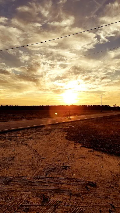 Shellbluff RV Park Picture 8