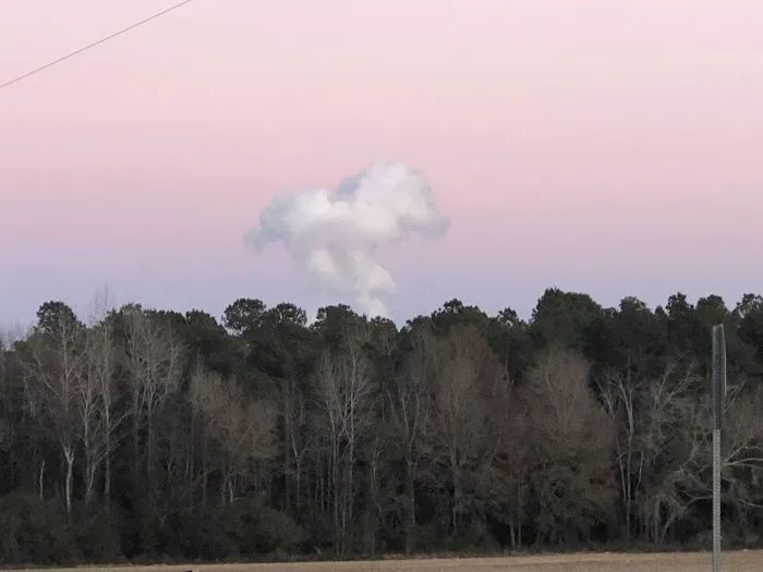 Shellbluff RV Park Picture 6