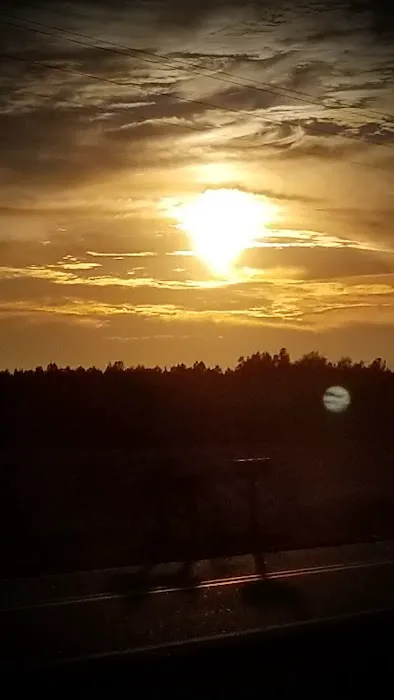 Shellbluff RV Park Picture 7