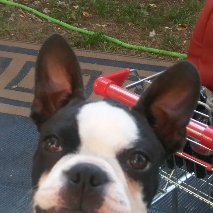 Shellbluff RV Park Picture 9