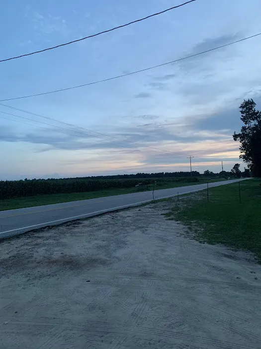 Shellbluff RV Park Picture 5