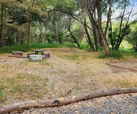 Prevedel Park Campsite #4