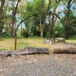 Prevedel Park Campsite #1