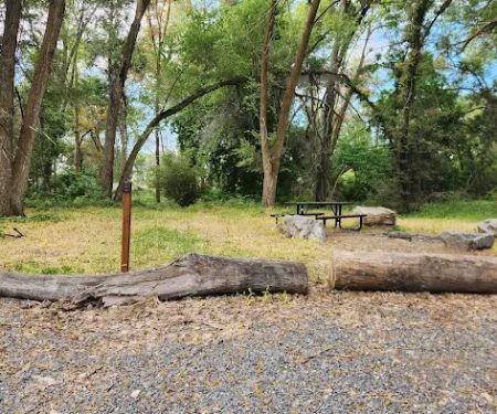 Prevedel Park Campsite #1