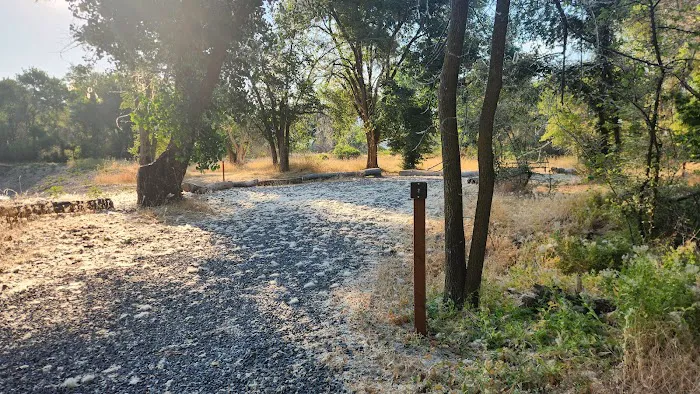 Prevedel Park Campsite #2 Picture 1