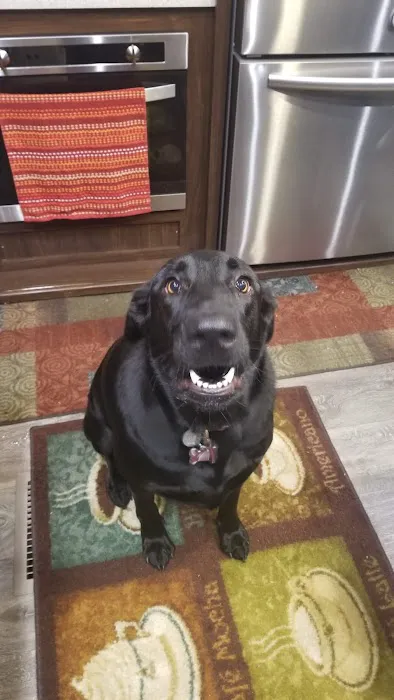 Hawkins RV Park Picture 3