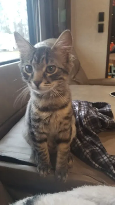 Hawkins RV Park Picture 2