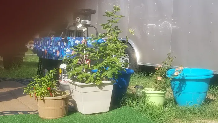 Hawkins RV Park Picture 5