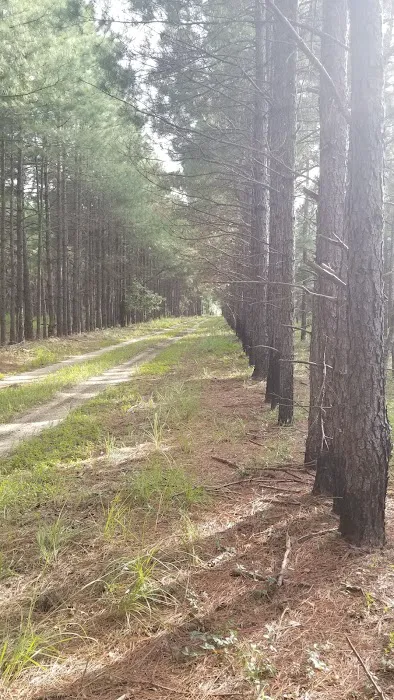 Hawkins RV Park Picture 6