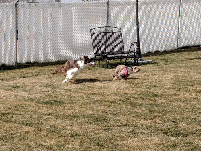 Century Campground Picture 8