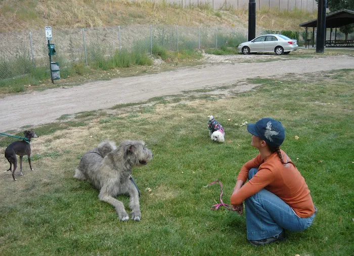 Century Campground Picture 9