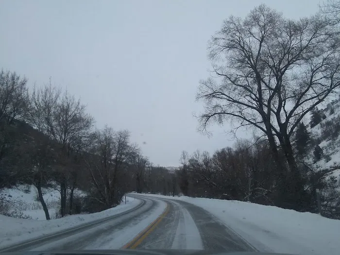 Botts Campground Picture 9