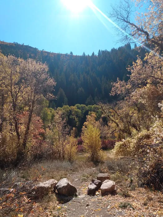 Botts Campground Picture 10