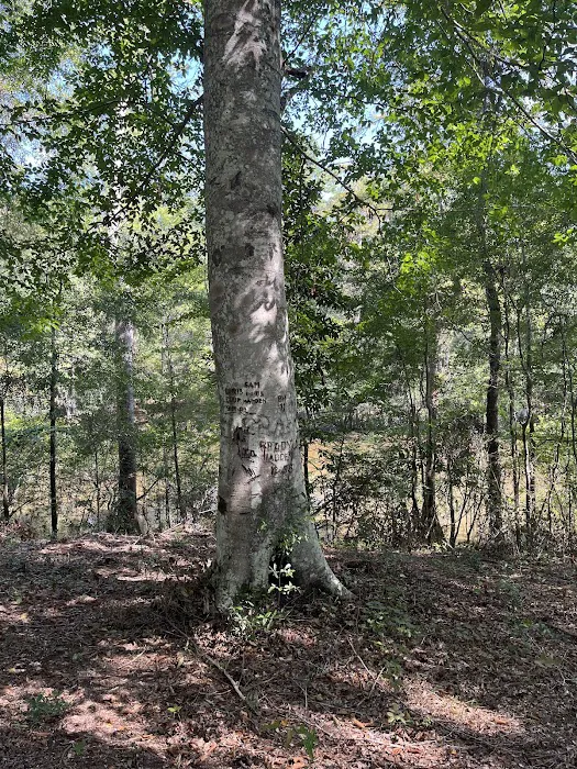 Coleman Lake Campground Picture 3