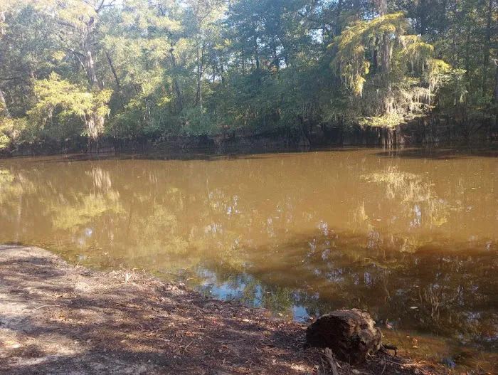 Coleman Lake Campground Picture 6